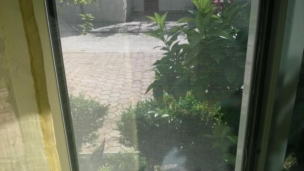 Apartman Renata Omis Bagian luar foto