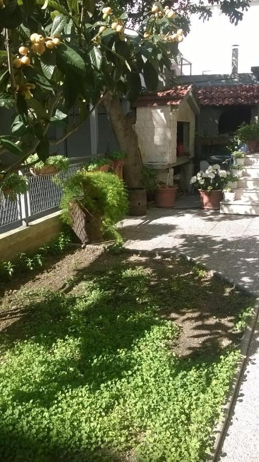 Apartman Renata Omis Bagian luar foto